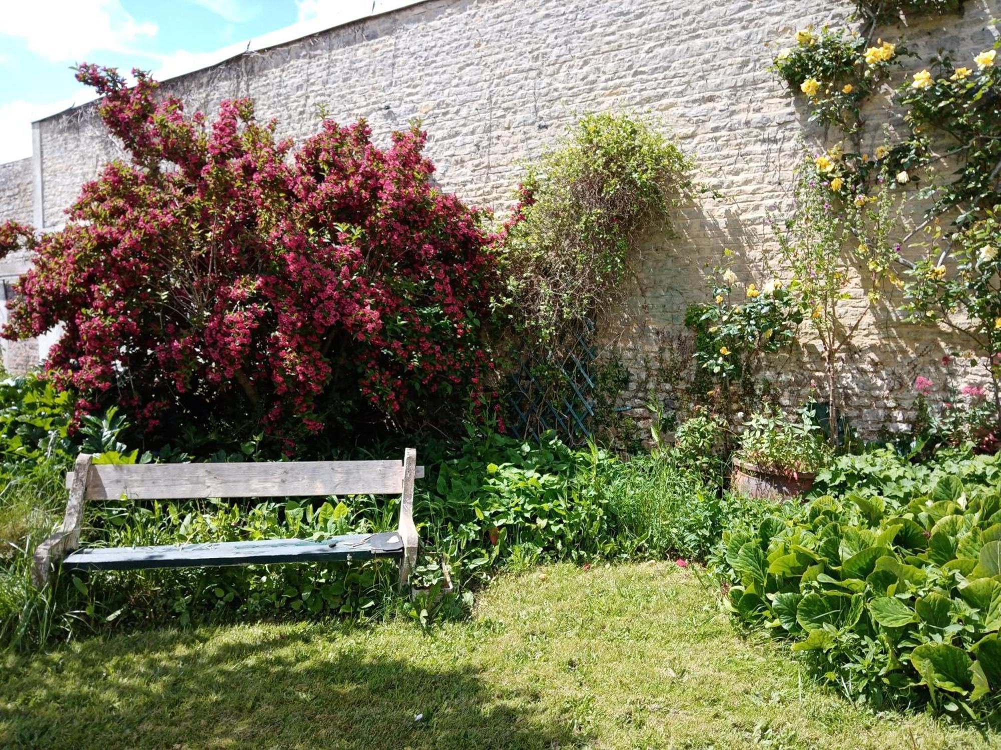 مبيت وإفطار Rose Garden بايو المظهر الخارجي الصورة